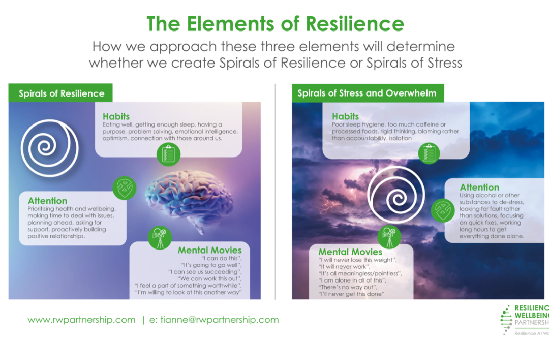 The Three Elements of Resilience